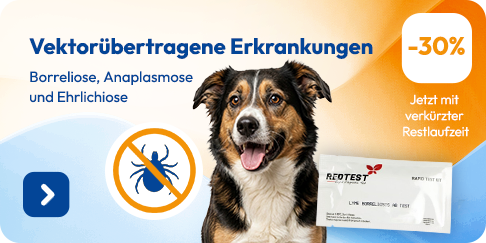 Vektorübertragene_Erkrankungen